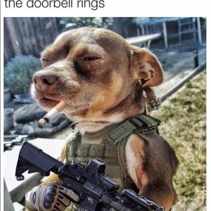 Meet your Posher, Daniel